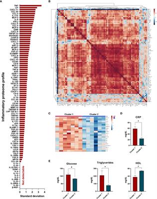 Characterization of the inflammatory proteome of synovial fluid from patients with psoriatic arthritis: Potential treatment targets